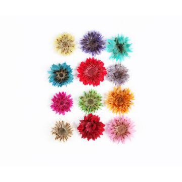 Emmi-Nail Fleurs sèches -1-