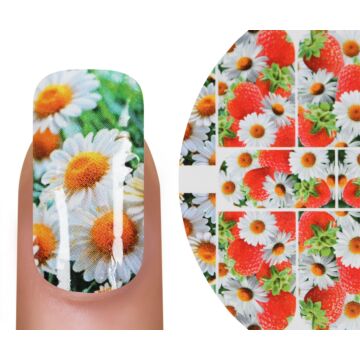 Emmi-Nail Fashion Tatouage N352